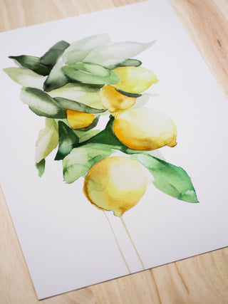 Lámina Limones- Edición limitada