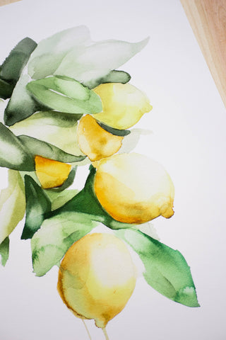 Lámina Limones- Edición limitada