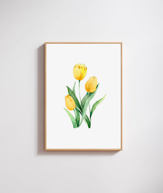 Lámina Tulipas Amarillas