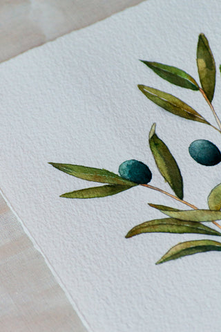 Rama de Olivo🌿