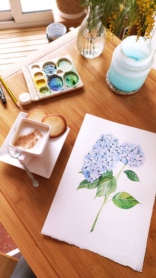 Lámina Hortensia azul