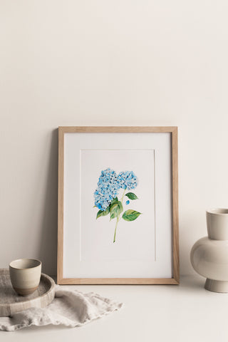 Lámina Hortensia azul