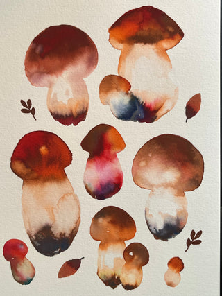 Multicolor Mushrooms Sheet