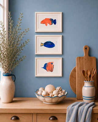 Pack 3 Peces Minis
