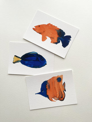 Pack 3 Peces Minis