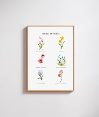 The Spring Flowers Print